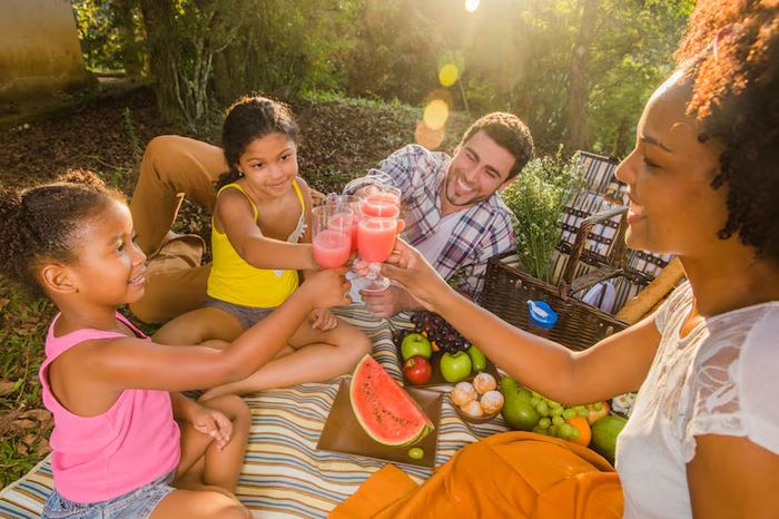 Família reunida fazendo um piquenique